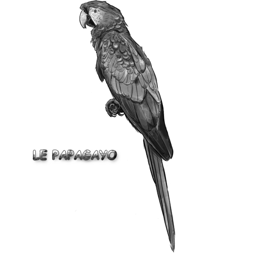papagayo