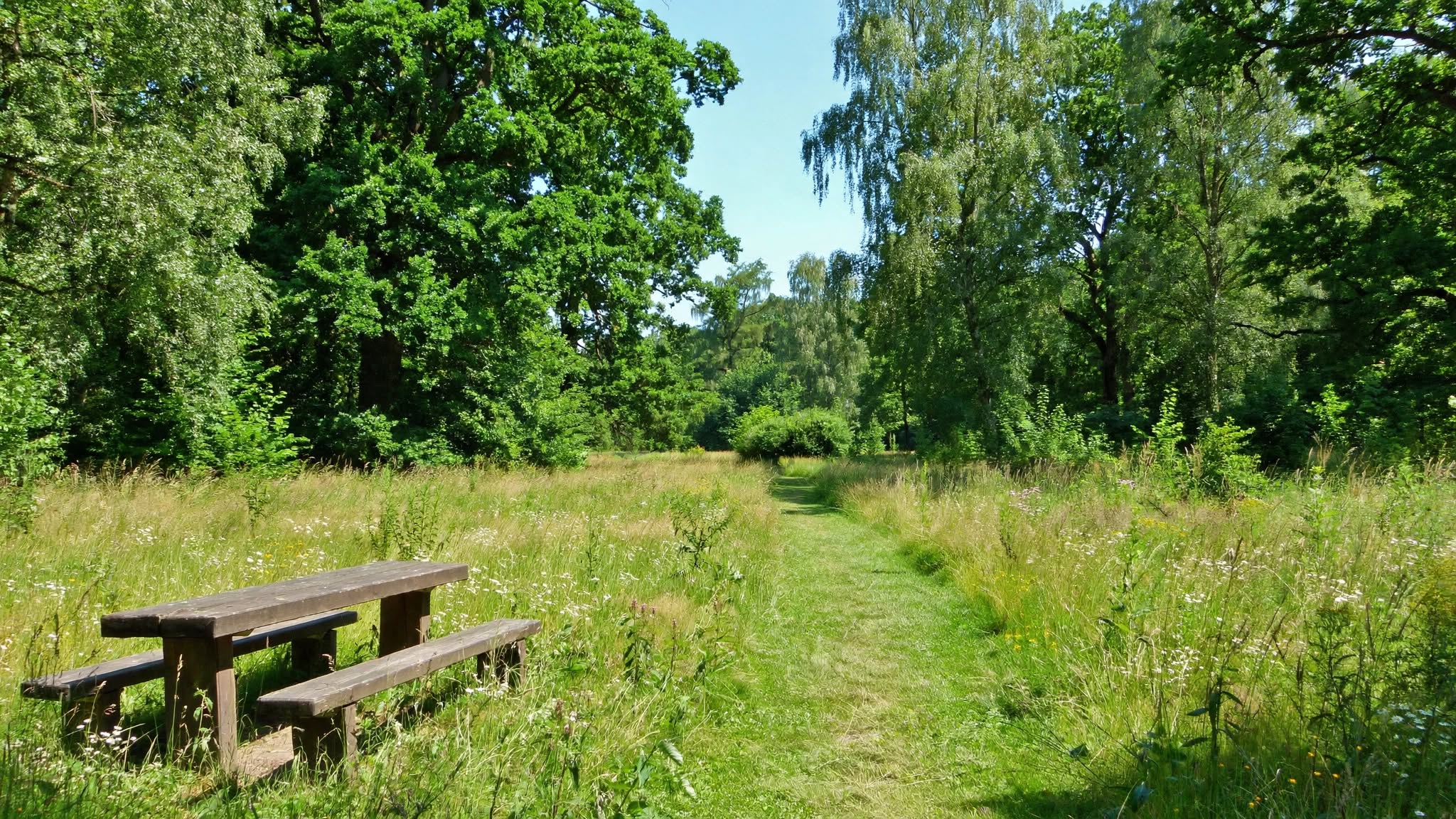 nature parc